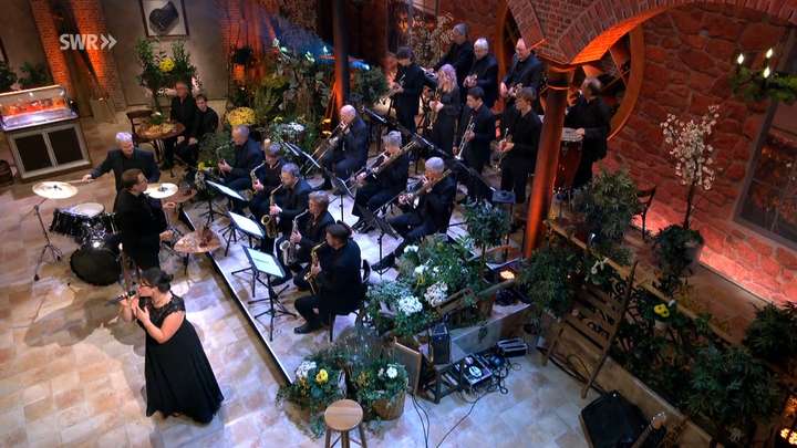 Schlagerspaß mit Andy Borg HM-Bigband